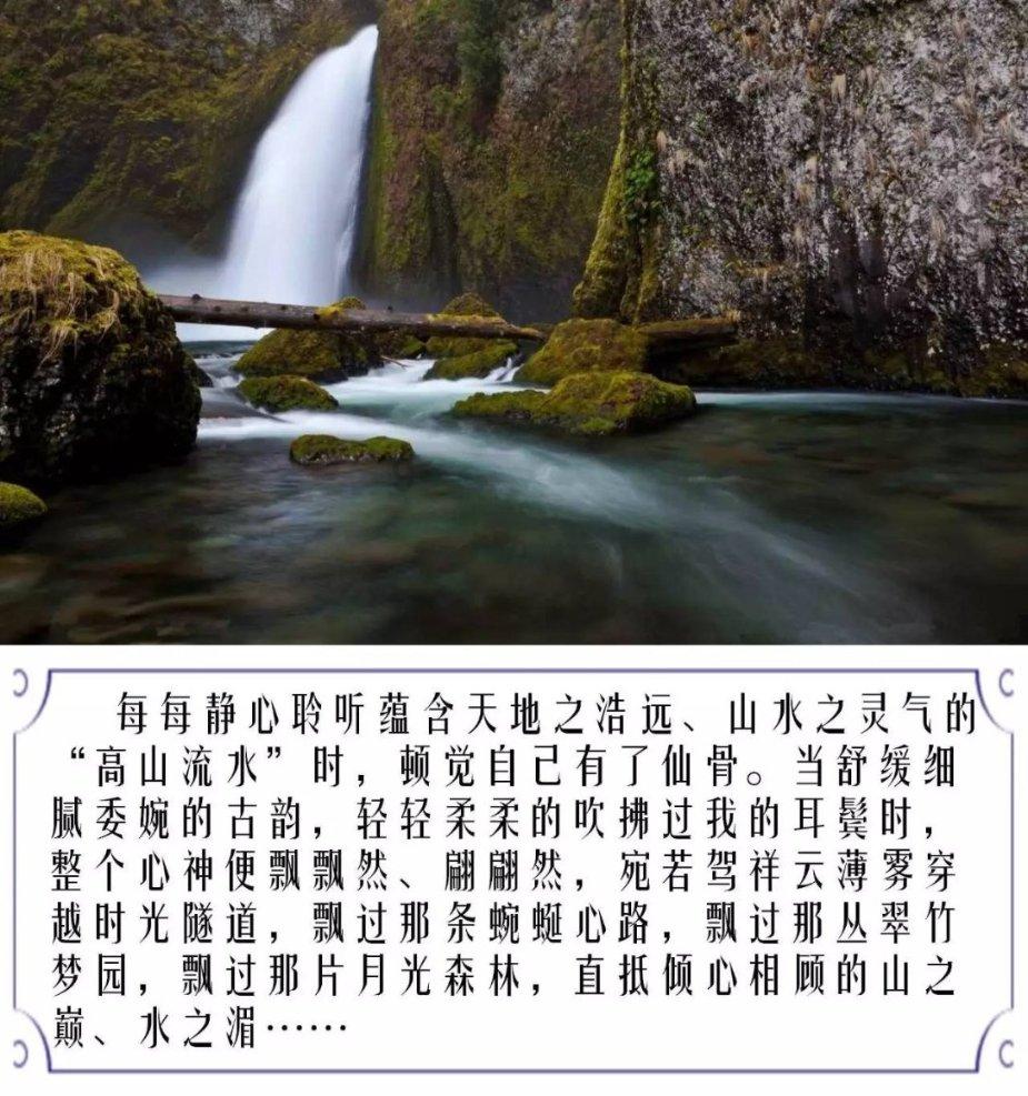 守护飞行城堡